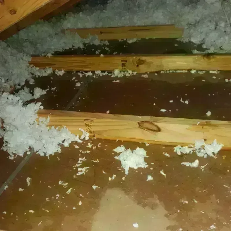 Attic Water Damage in East Flatbush, NY